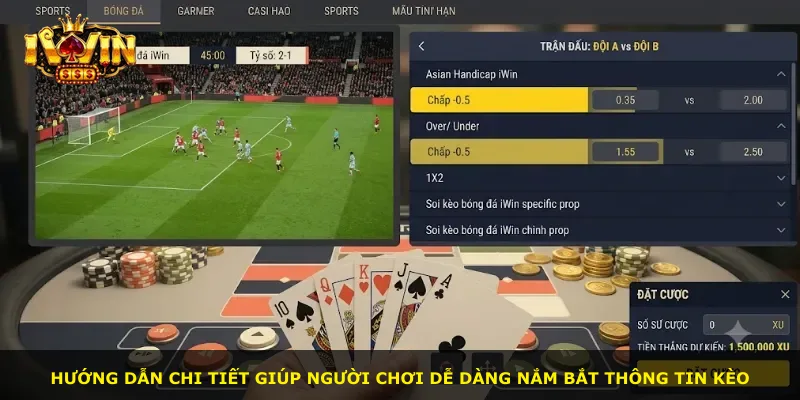Hướng dẫn chi tiết giúp người chơi dễ dàng nắm bắt thông tin kèo
