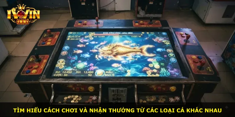 Tìm hiểu cách chơi và nhận thưởng từ các loại cá khác nhau